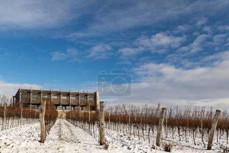 Téléchargez les photos : Paysage hivernal près de Popice, Moravie du Sud, République tchèque - en image libre de droit