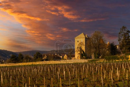 Vue du château de Gevrey-Chambertin, Bourgogne, France