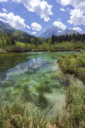 Téléchargez les photos : Spring landscape in Zelenci, Slovenia - en image libre de droit