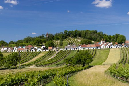 Caves à vin traditionnelles avec vignoble à Galgenberg près de Wildendurnbach