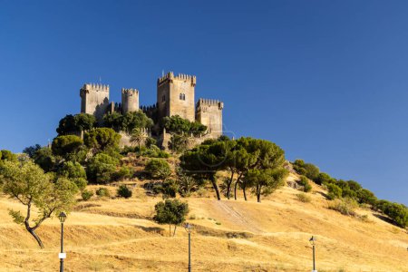 Vue du château d'Almodovar del Rio en Andalousie, Espagne