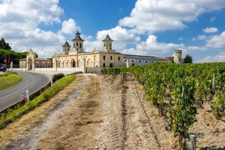 Téléchargez les photos : Vignobles avec Château Cos d'Estournel, Bordeaux - en image libre de droit
