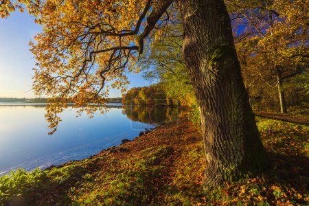 Typical autumn landscape in Trebonsko region in Southern Bohemia