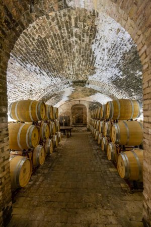 Téléchargez les photos : Wine cellar in Castello di Razzano, Piedmont, Italy - en image libre de droit