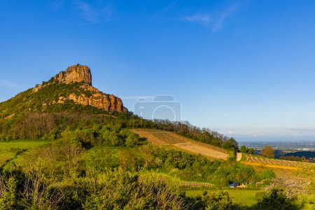 Roca de Solutre con viñedos, Borgoña