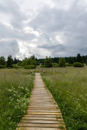 Monument naturel national Upolinova louka pod Krizky, Bohême occidentale
