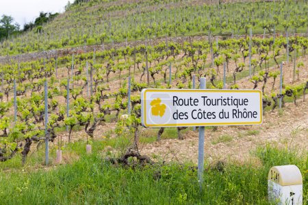 Téléchargez les photos : Vignoble typique avec route des vins (Route Touristique des Cotes du Rhône)) - en image libre de droit
