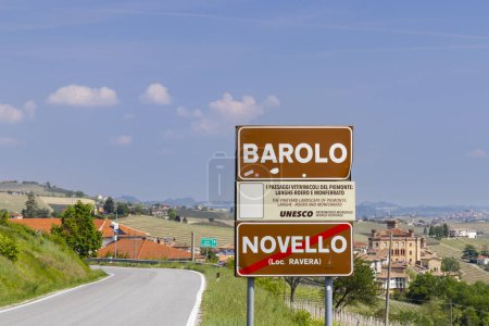 Photo for Typical vineyard near Barolo, Barolo wine region, province of Cuneo - Royalty Free Image