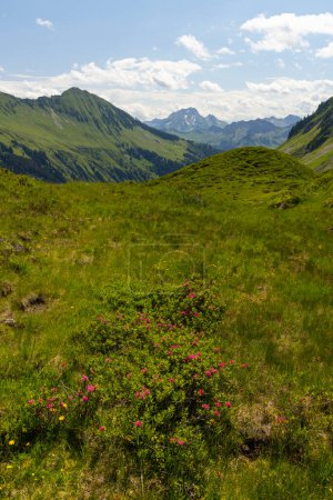 Foto de Paisaje alpino típico a principios de verano cerca de Damuls, Vorarlberg, Austria - Imagen libre de derechos
