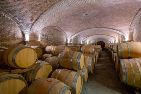 Weinkeller in Canale, Piemont, Italien