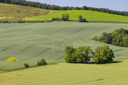 Photo for Landscape with chapel of St. Barborkas near Strazovice, Southern Moravia, Czech Republic - Royalty Free Image