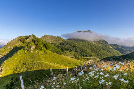 Landscape near Col d'Agnes, Department of Ariege, Pyrenees, France