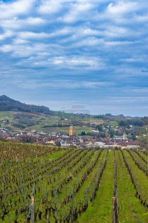 Vignobles avec ville d'Arbois, département du Jura, Franche-Comte, France