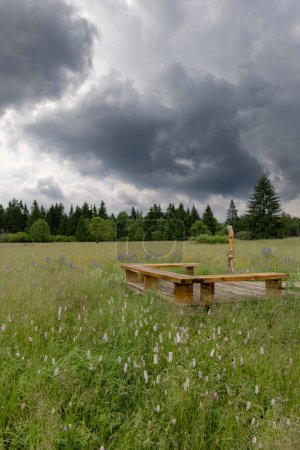 Monument naturel national Upolinova louka pod Krizky, Bohême occidentale, République tchèque