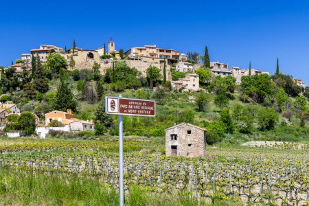 Foto de Viña típica con Ruta del Vino (Route Touristique des Cotes du Rhone) cerca de Faucon, Cotes du Rhone, Francia - Imagen libre de derechos