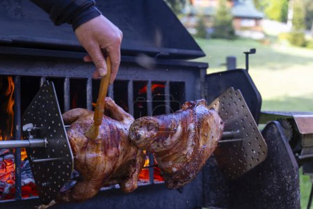 Photo for Roasting pork and turkey on spit - Royalty Free Image