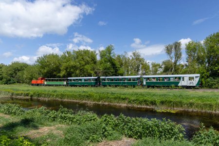 Foto de Tren de vía estrecha de Balatonfenyves a Csisztafurdo cerca de Balaton, región de Somogy, Hungría - Imagen libre de derechos