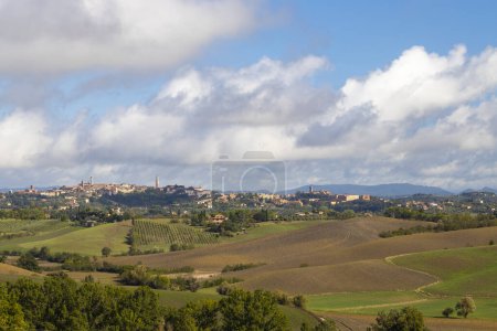 Los viñedos más famosos de Toscana cerca de la ciudad Montalcino en Italia