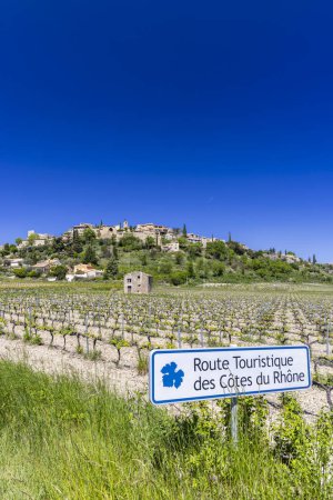 Typisches Weingut mit Weinstraße (Route Touristique des Cotes du Rhone) bei Faucon, Cotes du Rhone, Frankreich