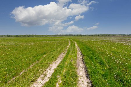 Foto de Paisaje con camino de tierra a través de pastos verdes en la estepa. Tomar en Ucrania - Imagen libre de derechos