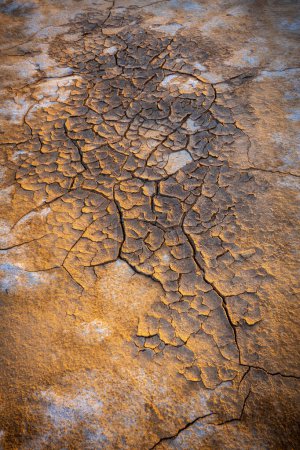 Detailed texture of arid, cracked earth. The warm golden hues highlight the dryness and intricate patterns formed by desiccation.