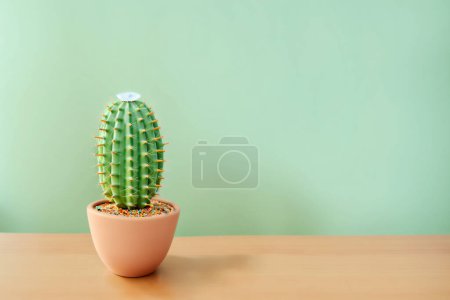 Téléchargez les photos : Cactus sur un bureau avec un fond vert surf - en image libre de droit