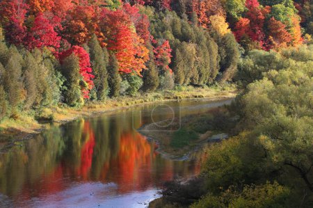 Lebendige Herbstfarben, die sich im Grand River in Kitchener, Ontario, Kanada widerspiegeln.