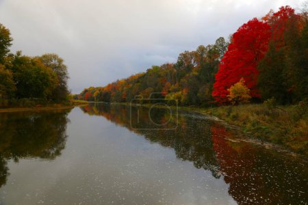 Lebendige Herbstfarben an einem bewölkten Tag mit dem Grand River in Kitchener, Ontario, Kanada.