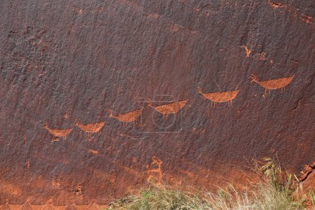 Descente de moutons Petroglyphs sur les parois du canyon situé juste au nord de Horseshoe Bend en Arizona.