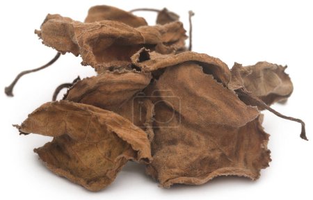 Photo for Dried oregano leaves over white background - Royalty Free Image