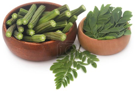 Foto de Moringa comestible con hojas frescas sobre fondo blanco - Imagen libre de derechos