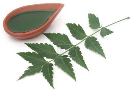 Medicinal neem leaves with extract over white background