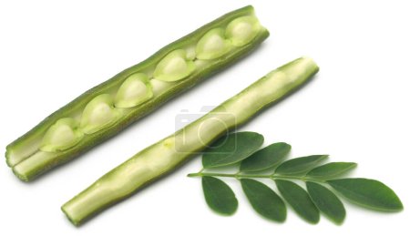 Foto de Moringa comestible con hojas frescas sobre fondo blanco - Imagen libre de derechos