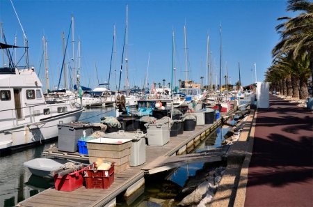 Fishing port of Canet-en-Roussillon, commune on the cte vermeille in the Pyrnes-Orientales department, Languedoc-Roussillon region, in southern France.