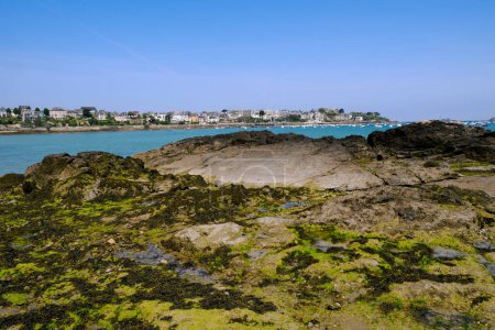 Costa rocosa con algas en dinard, una comuna en el departamento de Ille-et-Vilaine, Bretaña, noroeste de Francia. 
