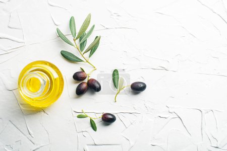Foto de Botella de aceite de oliva y rama de oliva sobre fondo blanco - Imagen libre de derechos