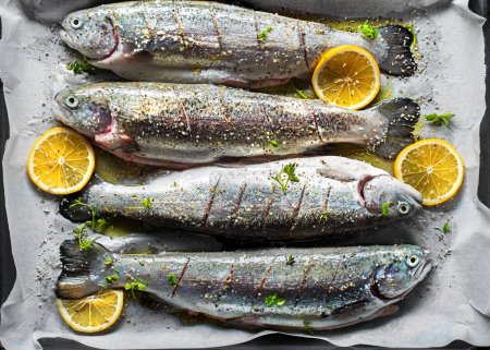 Photo for Fresh rainbow trouts with salt, lemon and herbs ingredients. Tasty fishes preparing for dish lunch. - Royalty Free Image