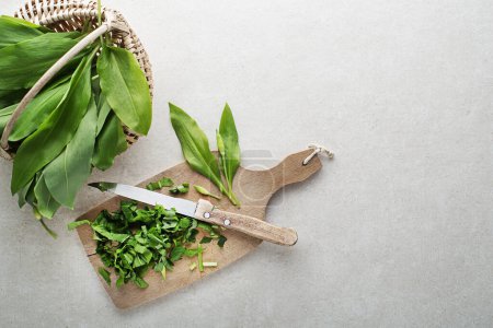 Photo for Making meal with Fresh ramson or wild garlic leaves. Healthy spring food concept - Royalty Free Image