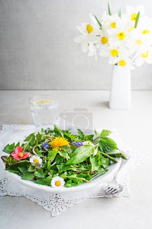 Photo for Spring table background with flowers, herbs and plants. Wild garlic, nettle, dandelion and other medicinal herbs and wild edible plants growing in early spring. - Royalty Free Image