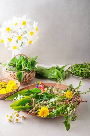 Photo for Spring table background with flowers, herbs and plants. Wild garlic, nettle, dandelion and other medicinal herbs and wild edible plants growing in early spring. - Royalty Free Image