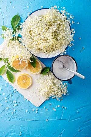 Photo for Process of making a summer drink, made from natural fermentation of elder flowers in water lemon and sugar. Elder blossom flower in plate, herbs to prepare syrup or dish - Royalty Free Image