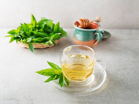 Téléchargez les photos : Thé à la menthe fraîche aux feuilles vertes de menthe, mélisse, menthe poivrée. Thé à la menthe fraîche et au miel - en image libre de droit