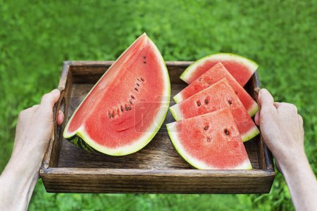Photo for Woman holding tray with fresh sliced watermelon. Selective focus on the watermelon. Outdoors in the garden - Royalty Free Image