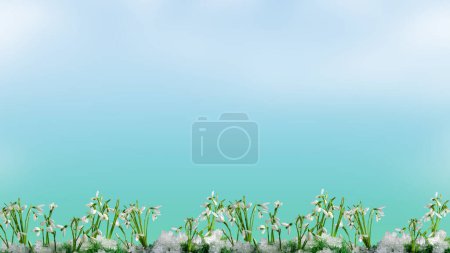 Téléchargez les photos : Premières fleurs blanc gouttes de neige contre un ciel bleu vif, pour milieux et fonds d'écran, avec espace vide pour insérer du texte - en image libre de droit