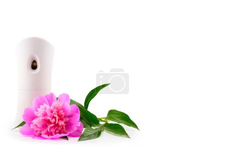 Foto de Ramo de flores de primavera, peonías blancas y rosadas en un jarrón de cristal y ambientador, vista lateral, sobre un fondo blanco, espacio vacío para insertar texto - Imagen libre de derechos