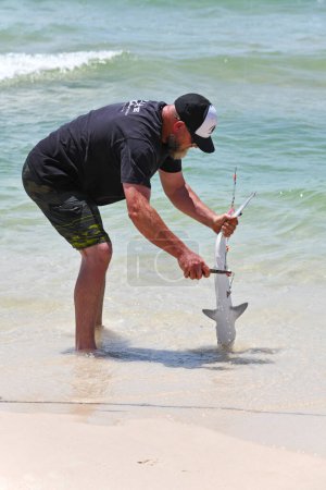 Foto de GULF SHORES, AL / USA - 3 de mayo de 2023: Un joven capturó un tiburón mientras pescaba en Gulf Shores Beach en el Golfo de México - Imagen libre de derechos