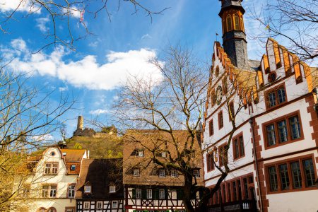 la histórica ciudad alemana de Weinheim