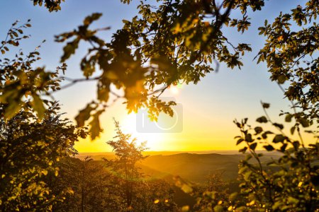 Téléchargez les photos : Un coucher de soleil dans une belle campagne forestière - en image libre de droit