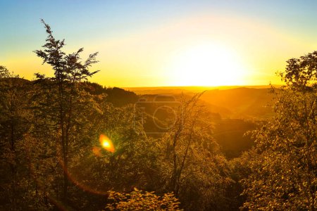 Téléchargez les photos : Un coucher de soleil dans une belle campagne forestière - en image libre de droit