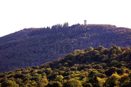the salzkopfturm lookout tower near the rhine river in germany